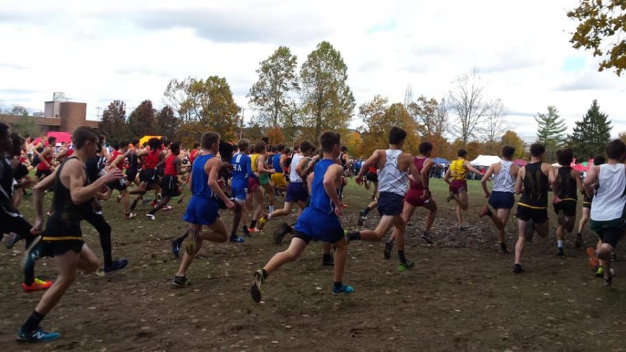 Running Into the Cross Country State Championships