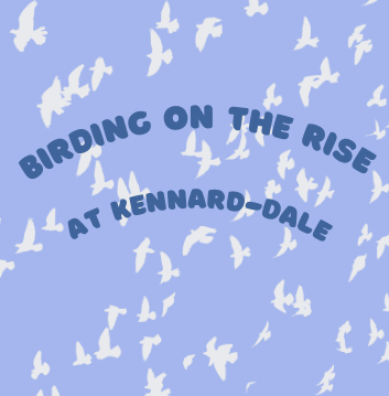 Birding on the Rise at Kennard-Dale